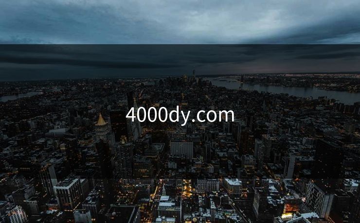 4000dy.com