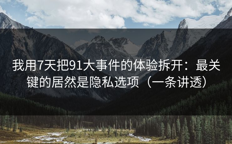 我用7天把91大事件的体验拆开：最关键的居然是隐私选项（一条讲透）